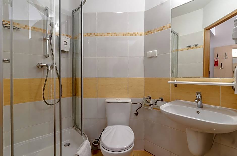 Economy Silesian Hotel