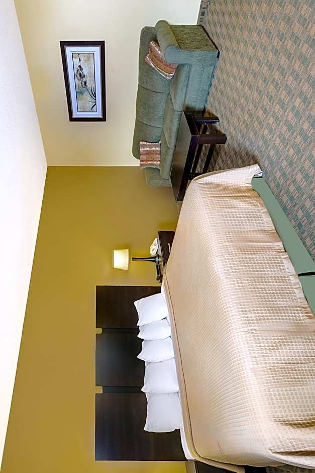 Econo Lodge Inn & Suites