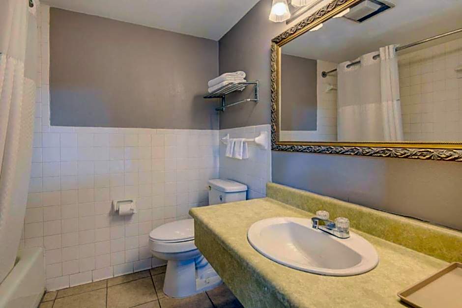 OYO Hotel Douglas GA US-441