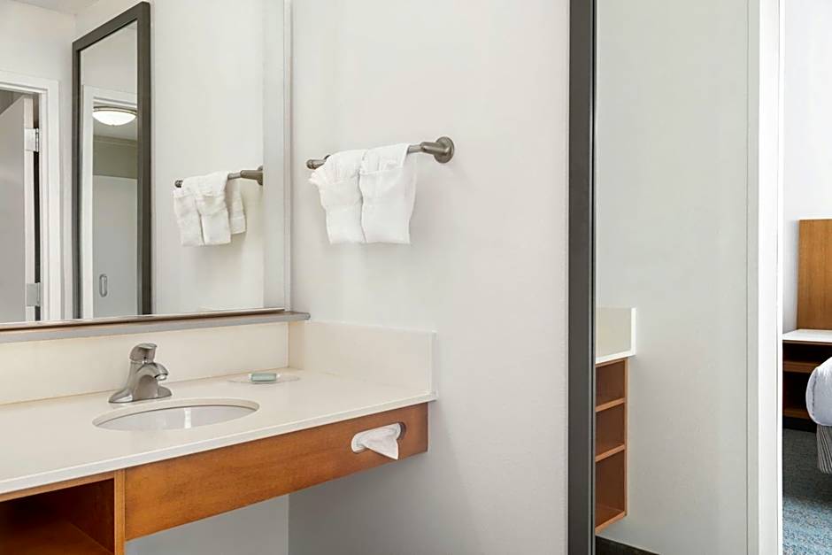 SpringHill Suites by Marriott Detroit Auburn Hills