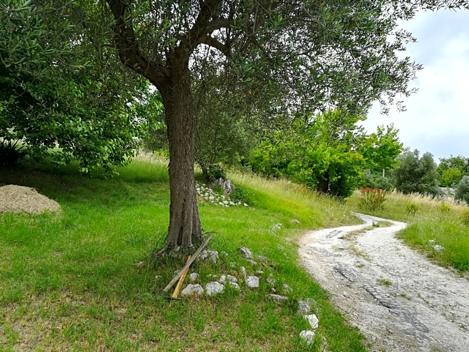 Agriturismo Campo Aperto