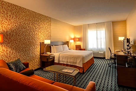 King With Sofa Bed, Larger Guest Room, 1 King