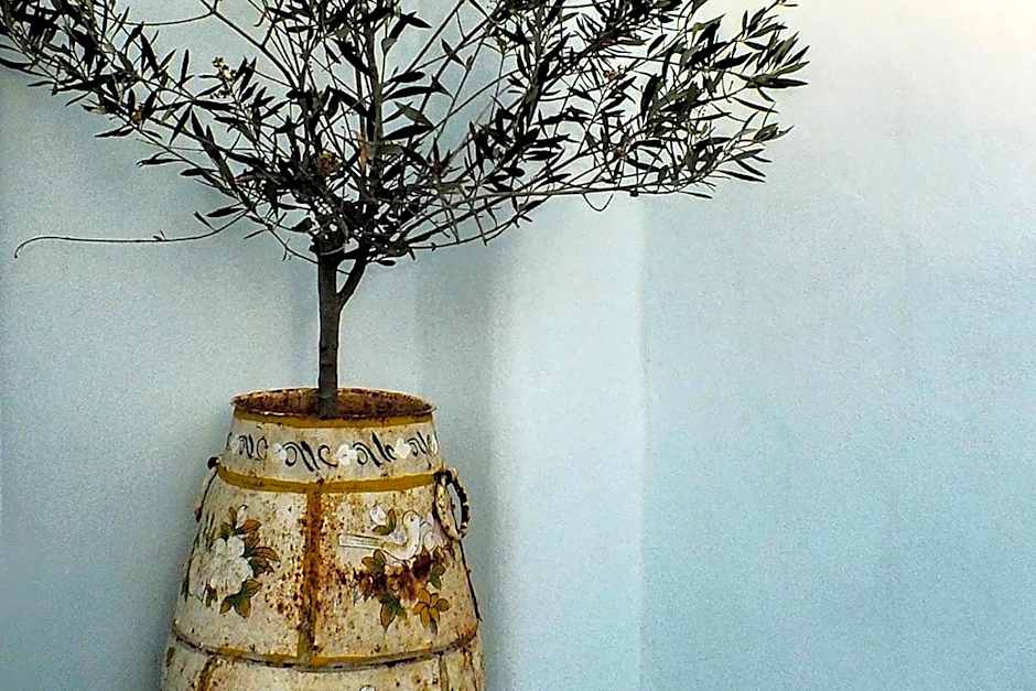 Pangaia Seaside Ηotel Adults Only