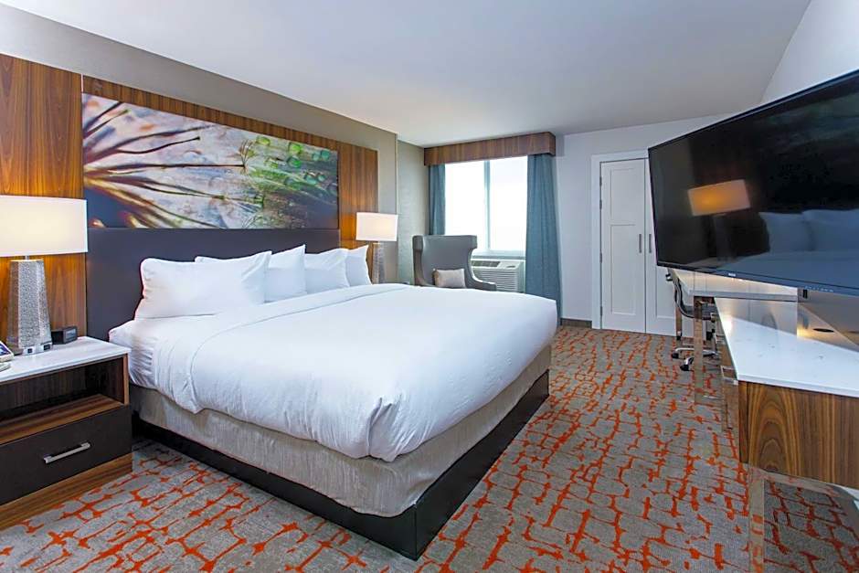 1 King Bed, Mobility Accessible, Roll in Shower — 5 fotoğraftan 1. fotoğraf