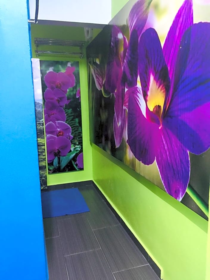 Lily Haven Hotel C-1