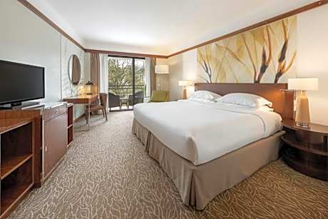 Double or Twin Room with Garden View