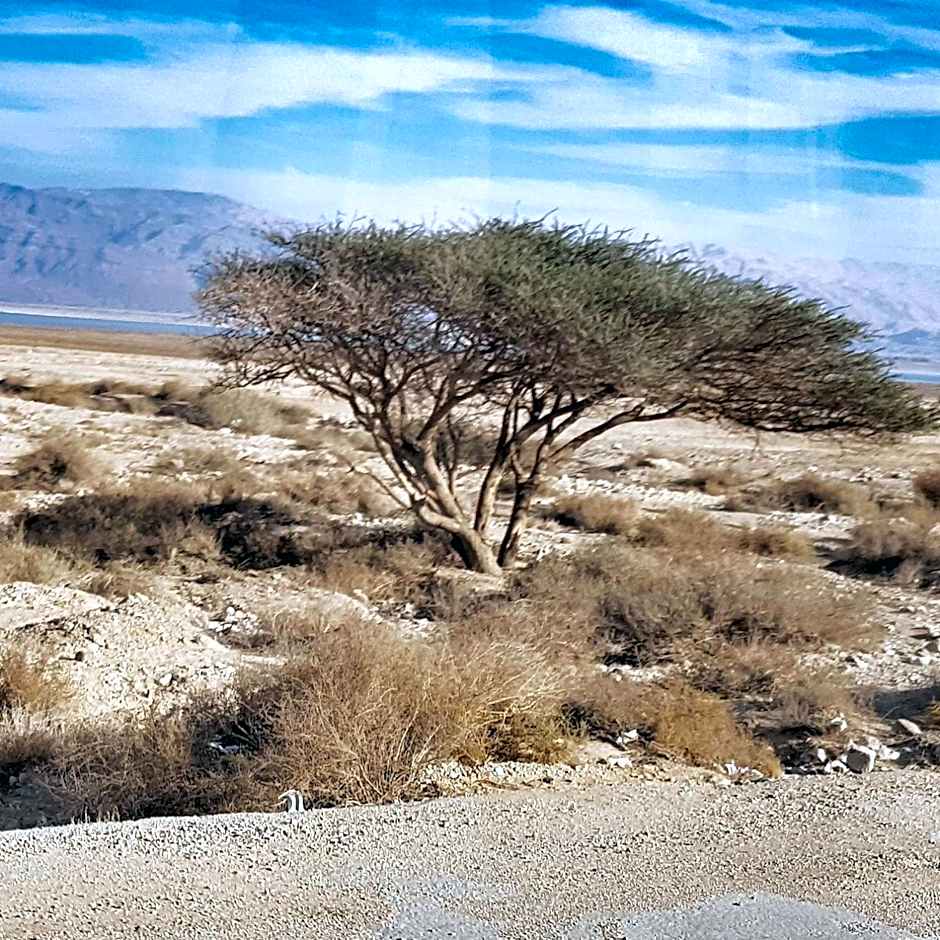 Beatrice Hospitality