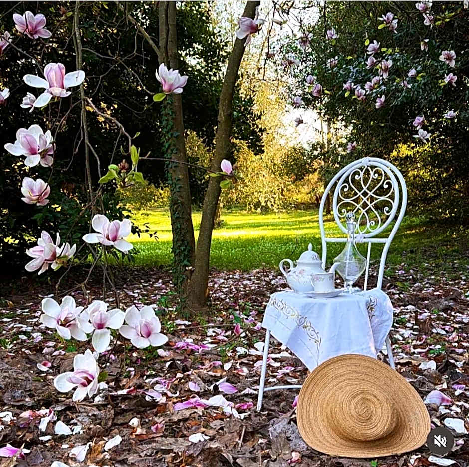Villa La Dogana - B&B with a lovely garden - Private parking - Slow living in an old-fashioned historical home