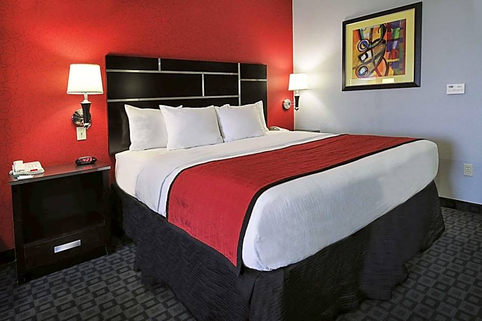 Photo 1 of 12 of 1 King Bed, Mobility Accessible, Roll in Shower