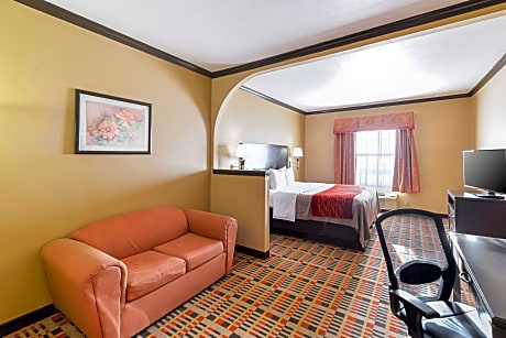 1 King Bed, Suite, Nonsmoking, Accessible