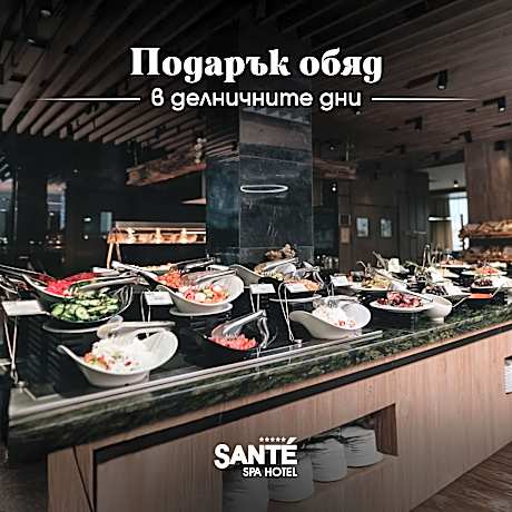 Santé SPA Hotel