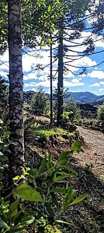 Chalet with Valley View