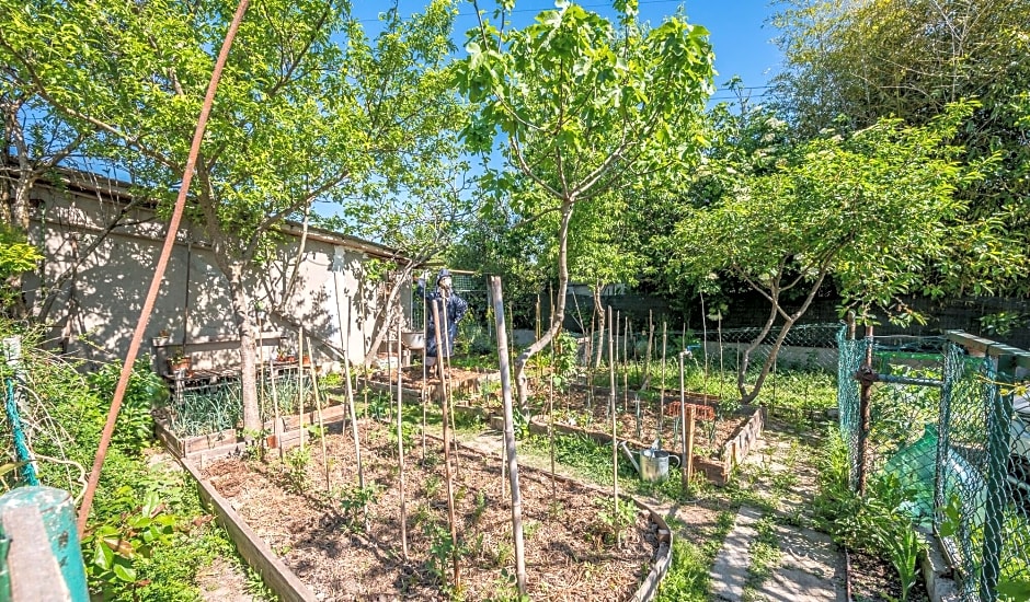 Selvatica50 B&B