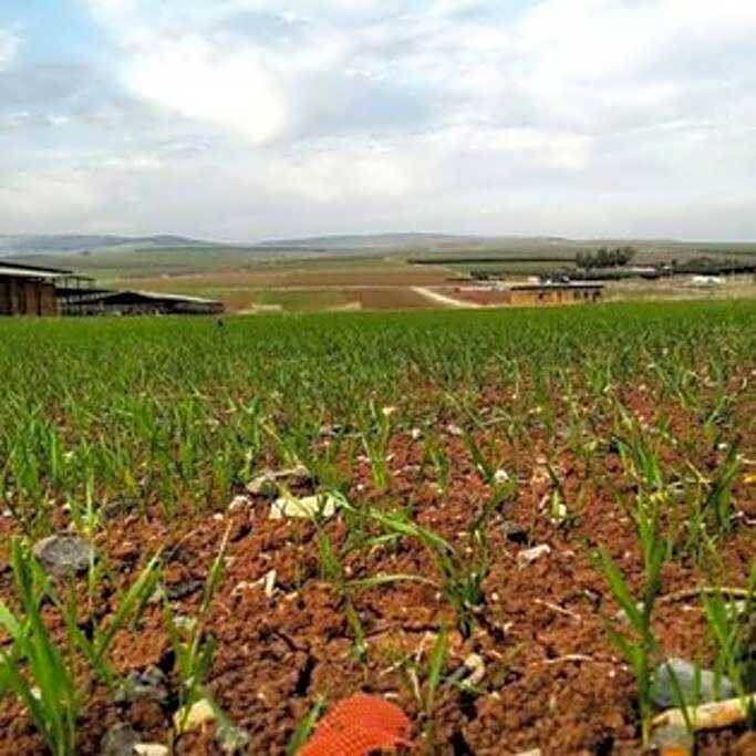 Workation experience in beautiful village