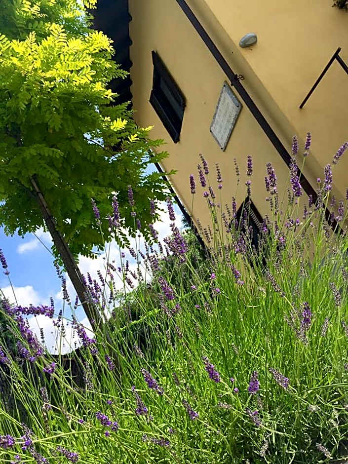 B&B Osteria dello sperone