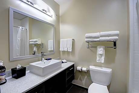 Suite-1 King Bed Non-Smoking Sofabed Kitchenette Wi-Fi Full Breakfast