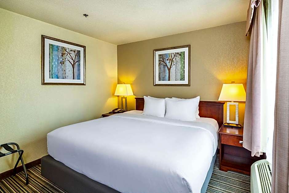 Quality Inn and Suites