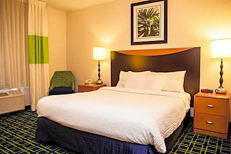 Room, 1 King Bed