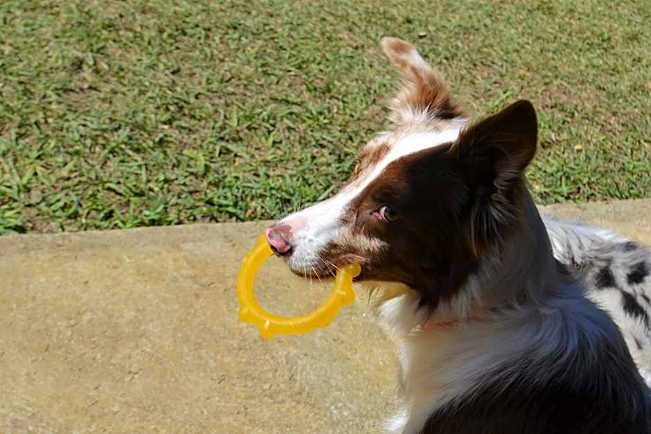 Pousada Encanto da Bocaina - Serra da Bocaina