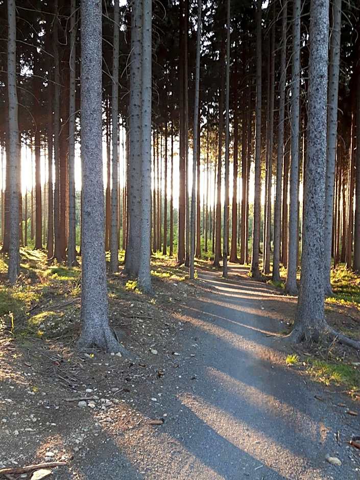 Hotel Le Mont Medical & SPA