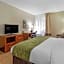Comfort Inn & Suites Lenoir Hwy 321 Northern Foothills