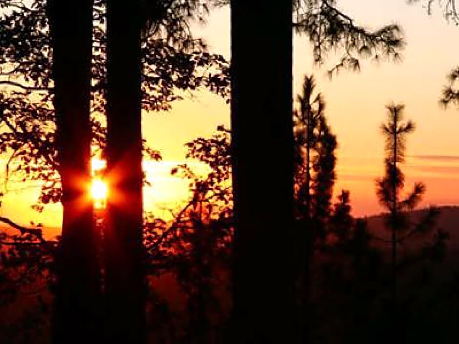 Sierra Sun Cloud Inn - Colfax