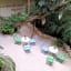 Quinta Margarita - Boho Chic Hotel
