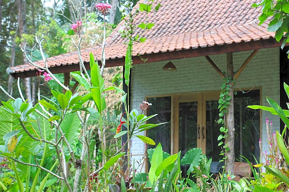 Jungle House - surf & stay