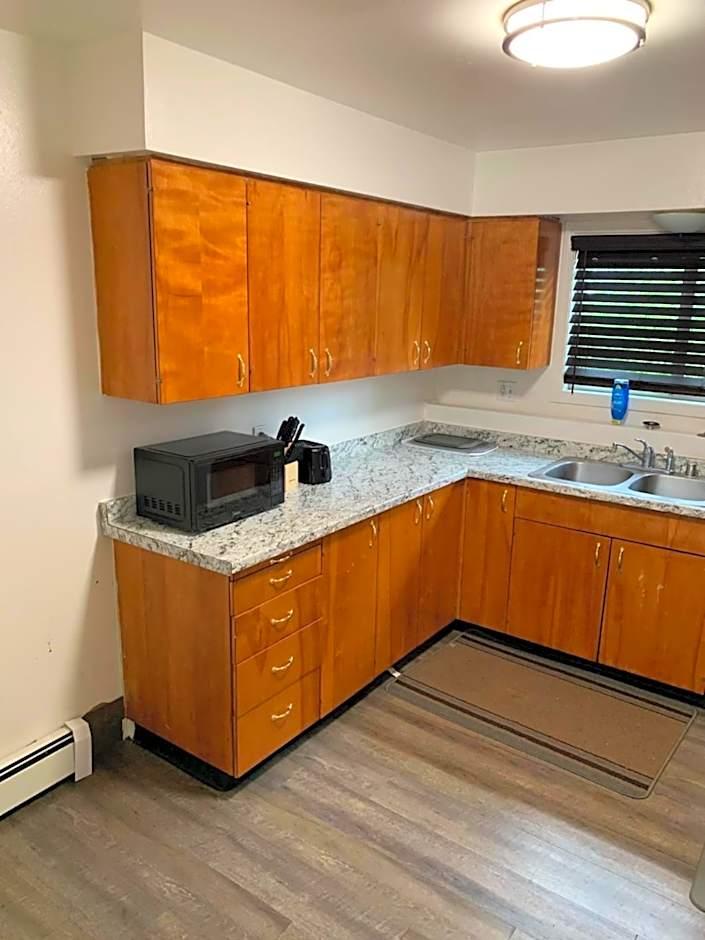 410 e45th 2 bedroom apartment