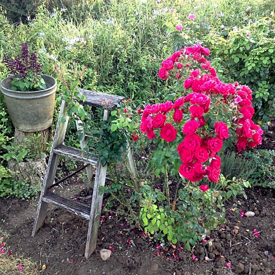 Gerald's Gift Guest House