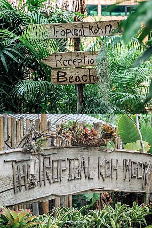 The Tropical Koh Mook