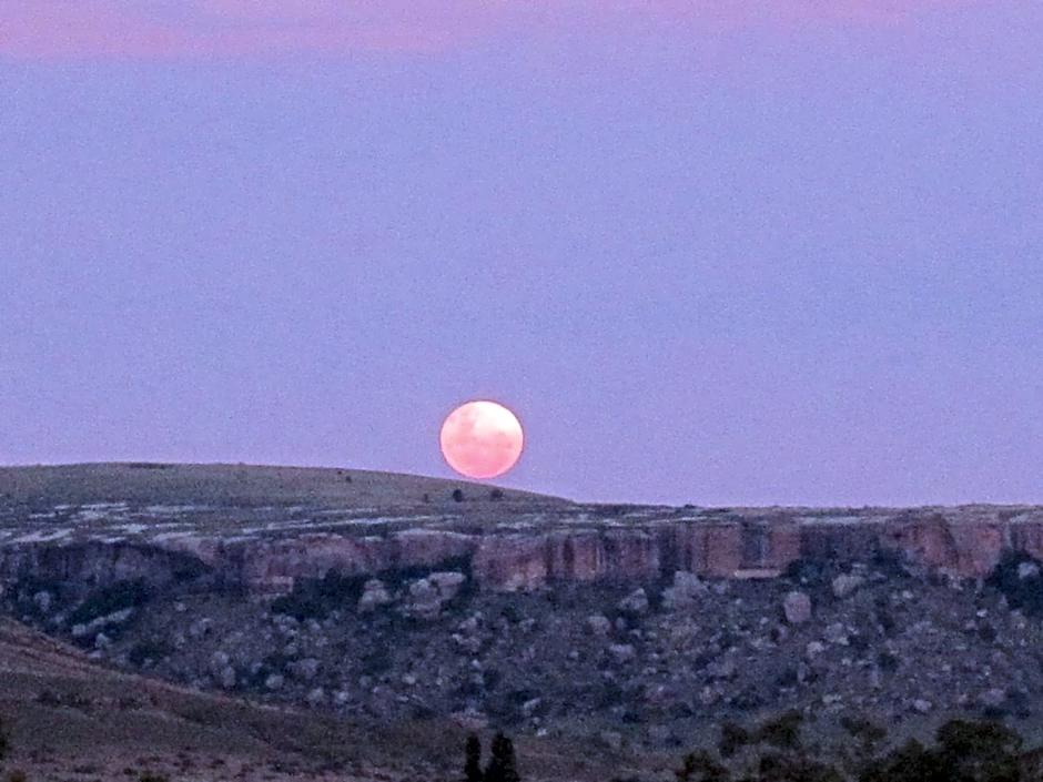 The Fat Mulberry Guest Farm