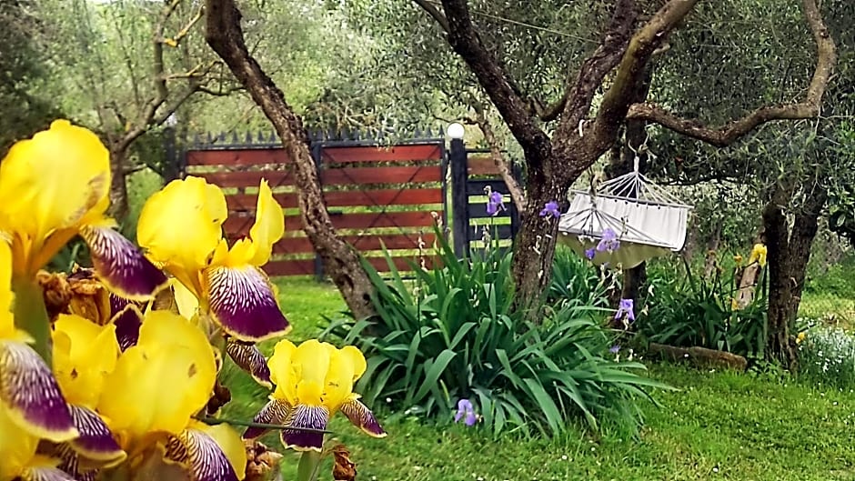 B&B La casina di Iris