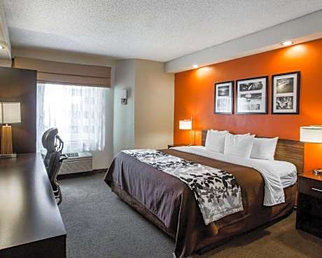 1 King Bed, Non-Smoking