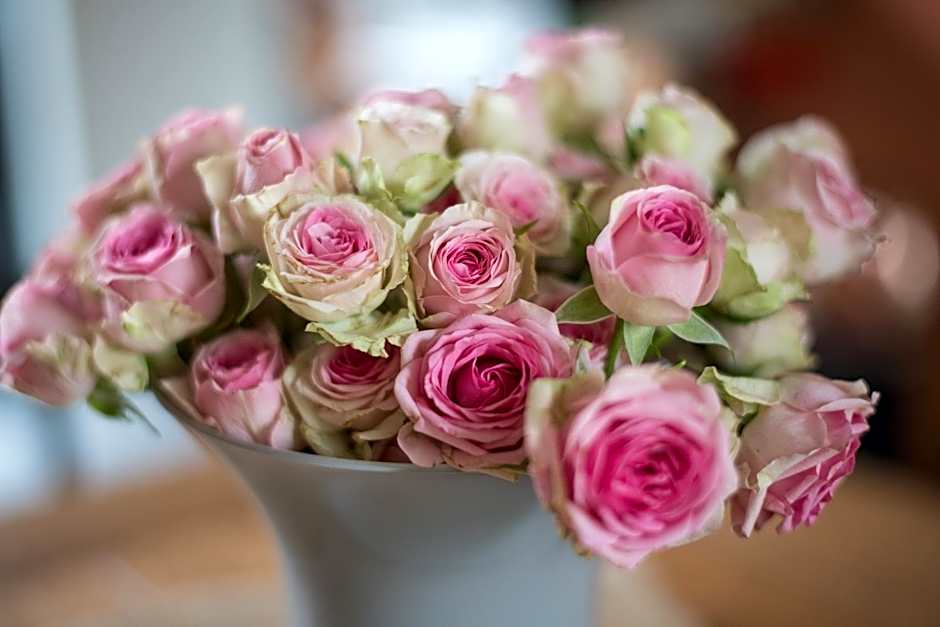 Maison d'Hôtes Cerf'titude