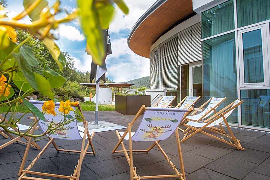 Schwarzwald Panorama