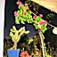 Riad Elli Marrakech
