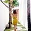 The Apartments Canggu