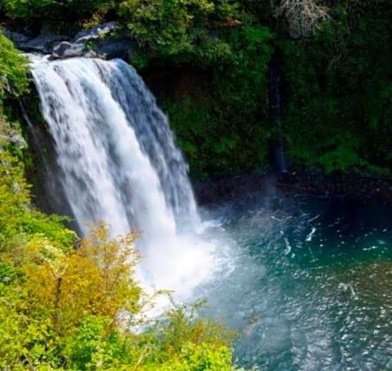 Cabin House Yado Fujinomiya