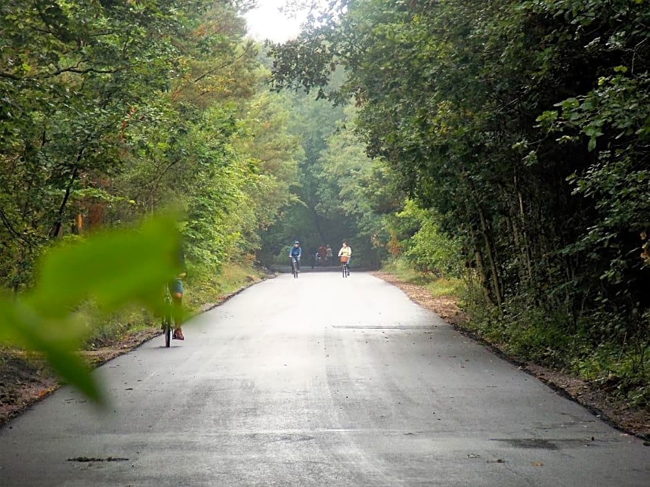 Pokoje goscinne Neptunia