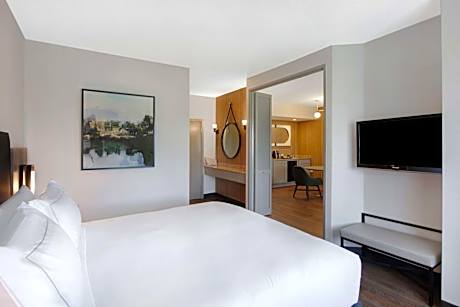 One-Bedroom King Suite with Sofa Bed - Non-Smoking