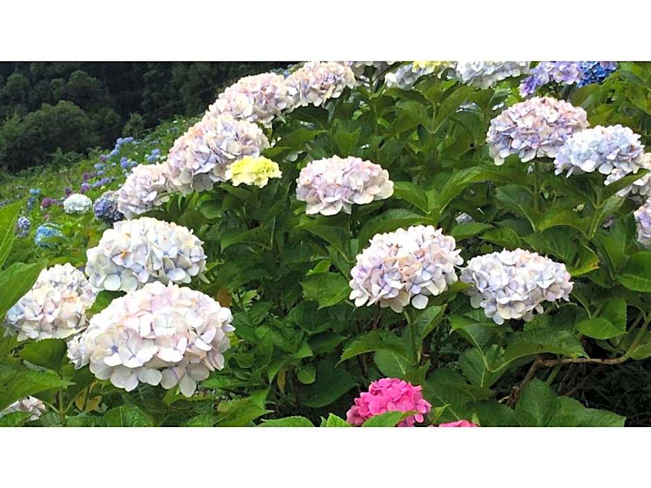 Hotel Sekumiya - Vacation STAY 21687v