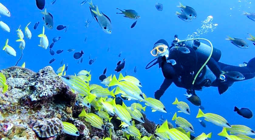 Churaumi On The Beach Motobu