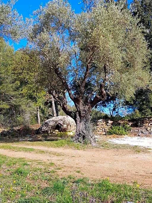 Gîtes Mas des rochers - Romance tropicale avec Spa