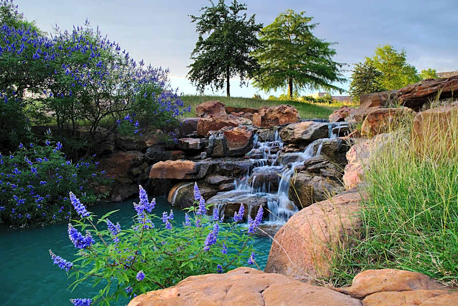 Holiday Inn Express Frisco Legacy Park Area By IHG