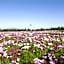Kuwana Park Hotel - Vacation STAY 66874v