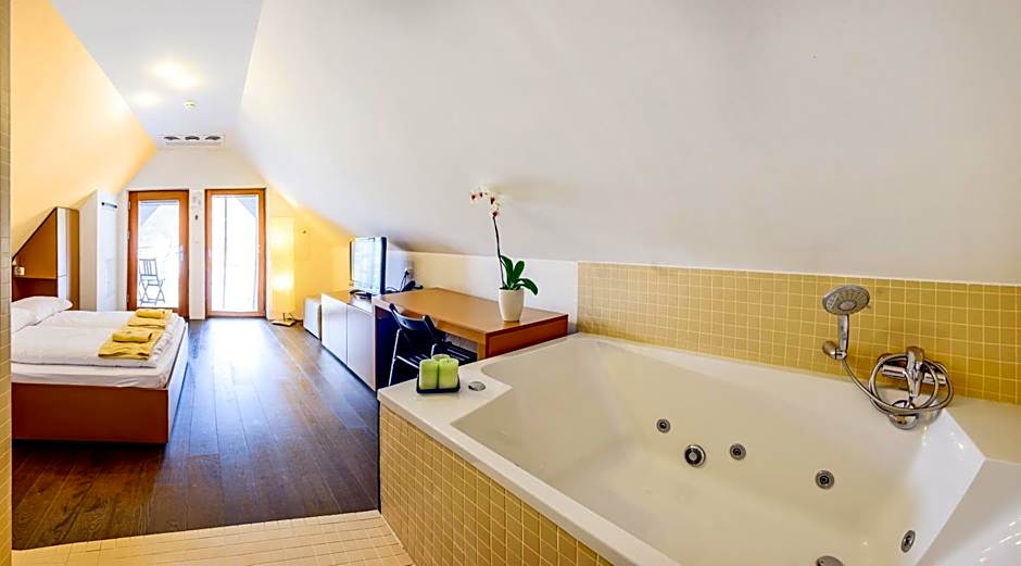 Hotel Sanje ob Soi ***/****