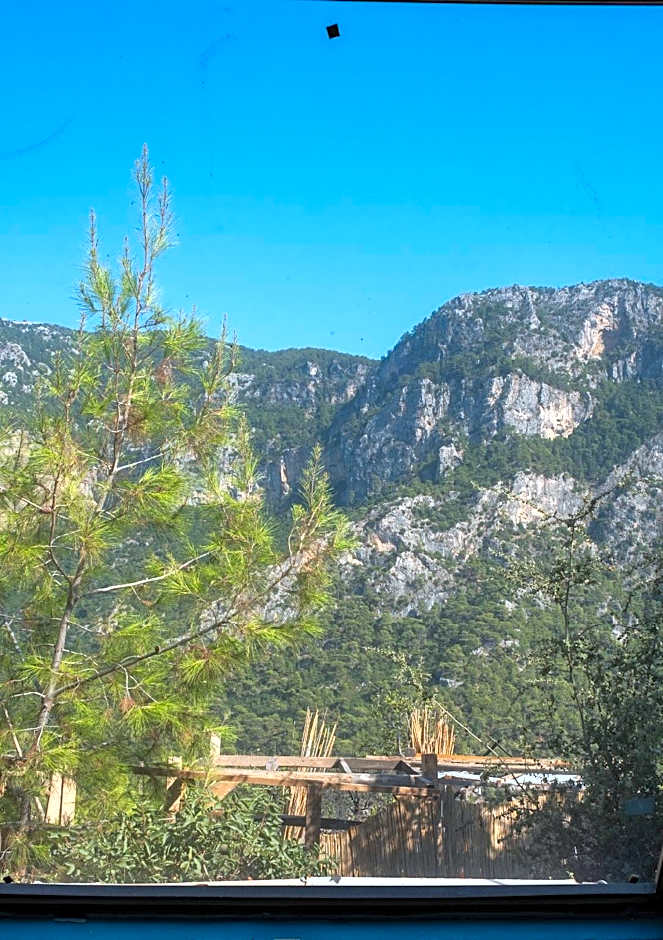 Goat Bungalow and Camping