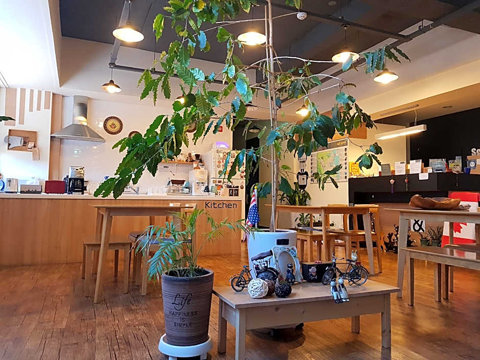 Sokcho And Guest House