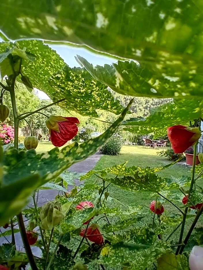 Picos de Europa Suites and Rooms